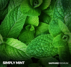 Simply Mint 30ML